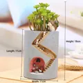 Macro view of a creative resin hedgehog house flower pot with height and width dimensions - Hedgehog Stairs Micro Landscape (H8142) / 18x11x11cm / H8142