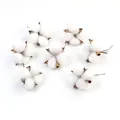 Vue de sept têtes de fleurs de coton séchées naturelles sur fond blanc propre - Tête Unique de Coton / Blanc