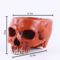Halloween orange resin skull flower pot planter decoration with dimensions 16.5cm long - Orange Red Style (8172)