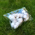 Têtes de fleurs de coton séchées naturelles en emballage transparent pour artisanat - 6 Pièces/Sac