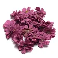 Detaillierte Makroansicht von dunkelvioletten künstlichen Gänseblümchen für DIY - Dunkellila