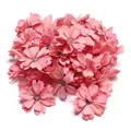 Detailansicht mehrerer pinker künstlicher Gänseblümchen-Blütenköpfe für DIY-Deko. - Rosa