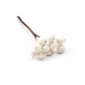 Primer plano de bayas de Navidad artificiales blancas para coronas DIY y decor - Paquete de 10 / Blanco