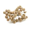 Gedetailleerde weergave van kunstmatige gouden schuimbessen voor DIY huwelijksbloemen - Goud