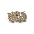 Gedetailleerde close-up van gouden mat bevroren kerstbessen voor DIY - 400 Koppen / Bruin
