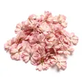Detailansicht von rosa Seidengänseblümchen-Blütenköpfen für DIY-Bastelarbeiten und Hochzeiten. - Hellrosa