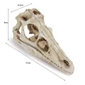 Detailed resin Velociraptor dinosaur skull replica showing dimensions of height and length - Velociraptor Skull Style (B123)