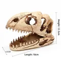 Dinosaurier-Schädel Aquarium-Deko Maßdiagramm mit Höhen- und Längenangaben - Dinosaurier-Schädel-Stil (B308)