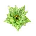 Detailed view of bright green artificial Christmas poinsettia flower for wreaths and trees - 13cm / Green