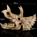 Réplica de fósil de cráneo de Triceratops 18x12x10cm para decoración de acuario. - Cráneo de Triceratops Realista (B213)