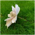 Close-up of artificial magnolia flower with golden glitter for Christmas decor - Champagne