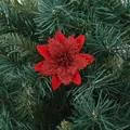 Red glitter artificial Poinsettia flower detail on green Christmas tree branches - Red