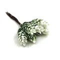 Artificial pine cone bouquet with 6 heads for rustic Christmas home table decoration - Pack of 10 / Green + White