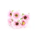 Piccoli capolini di fiori di ciliegio artificiali rosa per ghirlande e bouquet fai da te - Confezione da 60 Pezzi / Rosa