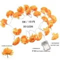 Guirnalda de Luces de 20 LED 3M de Cempasúchil Naranja para Decoración del Día de Muertos - 3m 20 LEDs (Caja 3*AA) / Naranja