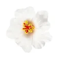 Barrette à cheveux fleur d'hibiscus blanc réaliste pour fête de mariage sur plage hawaïenne - Tête de Fleur Seule (Sans Pince) / Blanc