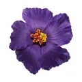 Realistic purple artificial hibiscus flower hair clip perfect for beach parties and weddings - With Clip / Purple