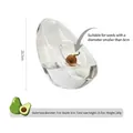 Avocado hydroponic glass vase with dimensions for seed starting 23.7cm - Avocado Shape (hp2086) / Single Piece (Seeds Not Included)