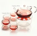 Clear heat resistant glass tea set with 800ml teapot and four 50ml double-walled cups - D Set