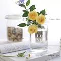 Vase cylindrique en verre transparent avec imprimé 'LOVE' pour décoration hydroponique - Style Haut LOVE