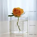 Vase en verre transparent créatif avec inscription Flower Language et dimensions - Style Court Language
