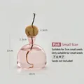 Small pink Japanese style avocado seed starter hydroponic glass vase for home office decor - Pink Avocado Vase (Small)
