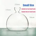 Small clear glass hydroponic vase for 3cm avocado seeds, size dimensions 10x10cm. - Small Avocado Vase