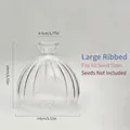 Large ribbed glass hydroponic vase for avocado seeds with clear dimension markings - Large Striped Avocado Vase