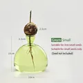 Small green glass avocado seed hydroponic starter vase with dimensions shown, 10x10cm - Green Avocado Vase (Small)