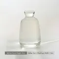 Minimalist Nordic clear glass vase small size 12cm height for hydroponic flower plants - Tall Small / Clear