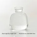Minimalist clear glass wide-belly vase for aromatherapy and hydroponics, large size - Short Large / Clear
