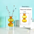 Creative Nordic double-layer amber glass vase with dimensions for home desktop decoration - Short Champagne Gourd Style (HP2021)