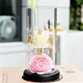 Elegant European glass candle holder with gold tree patterns and black base - Style Without Flower (zt2040) / Candle Holder + Candle