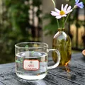 Cute clear glass mug featuring red floral patterns and 'APRIL' garden text for home juice - 201-300ml / Green Cherry Print With Handle / Transparent with Patterns