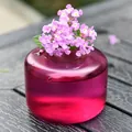 Kreative kleine Vase aus magentafarbenem Glas im Ins-Stil mit frischen rosa Blumen - Fuchsia