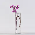 Eleganter nordischer Stil Klarglas Zylindervase für Tischblumen mit gepunkteter Textur - Stil A Große Punkte / Ohne Pflanze
