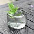 Kleine runde transparente Glasvase für minimalistische Hydrokultur-Pflanzen auf dem Tisch. - Grau