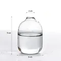 Minimalist clear glass vase for hydroponic plants or aromatherapy with 9cm height - Model A Small / Height 9cm x Bottom 6cm x Mouth 2cm