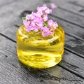 Moderner gelber transparenter Glasvase mit runder Form für Hydrokultur-Blumen - Gelb