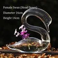 Elegant swan shaped clear glass vase for floral arrangements and home decoration, 16cm - Looking Down Swan / 16x14cm