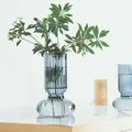 Elegant Nordic smoke grey ribbed glass vase for hydroponic plant display in home decor - Single Piece (hp2025) / Smoke