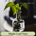 Small minimalist transparent glass vase for hydroponic plants and fresh flowers 6cm x 10cm - Maple Leaf Style Vase