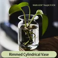 Small cylindrical transparent glass vase for hydroponic plants and flowers, 6x9.5cm - Cylindrical Bayonet Vase