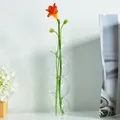 Modern Nordic clear four-sphere stacked glass vase for minimalist floral arrangement - Large Gourd Style (hp2027) / Clear