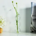 Minimalist triple sphere clear glass vase for hydroponic plants and flower arrangements - Small Gourd Style (hp2027) / Clear