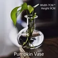 Clear glass pumpkin-shaped hydroponic vase for minimalist desktop plant decoration - Pumpkin Shape Vase