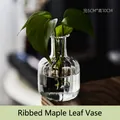 Minimalist small striped transparent glass vase for hydroponic plants with narrow mouth - Ribbed Maple Leaf Vase