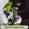 Ribbed pumpkin shaped transparent glass vase for desktop hydroponic flower arrangements - Ribbed Pumpkin Shape Vase