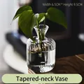 Minimalist small ribbed transparent glass vase with conical mouth for tabletop hydroponics - Tapered Neck Vase