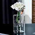 Creative transparent glass vase with white 'LOVE' letter print and white rose for home decoration - High Style LOVE